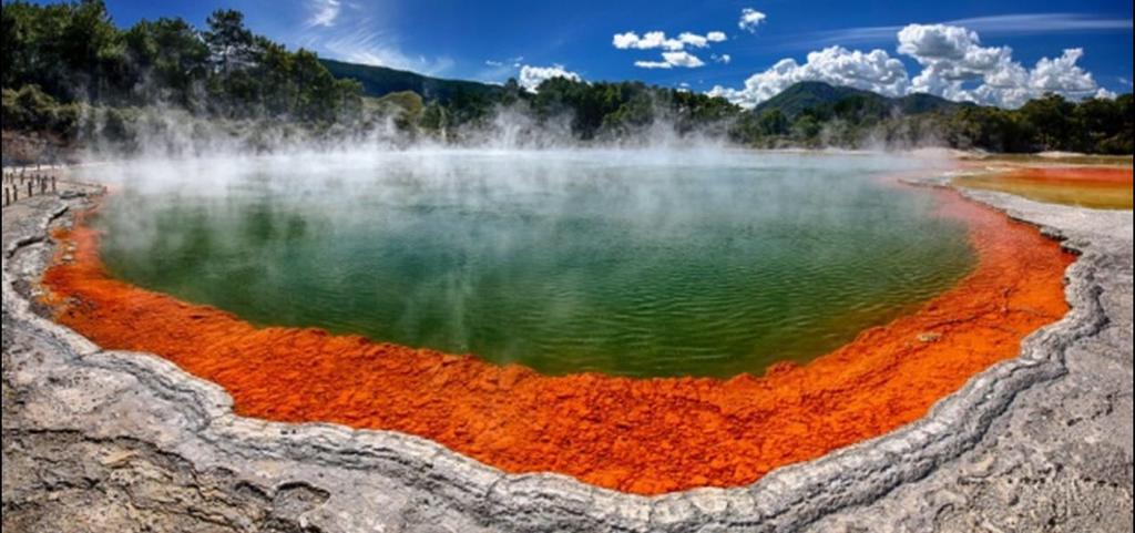 Great View Near Rotorua Lake ภายนอก รูปภาพ